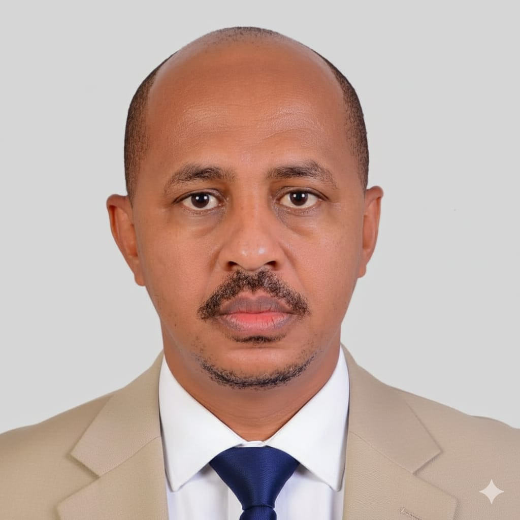 المستشار/ رشدي أحمد عبدالله صديق 